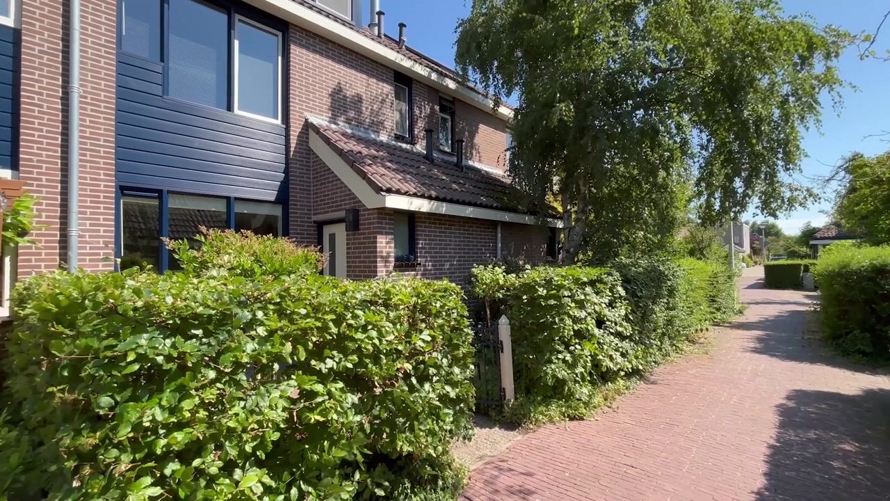Video of Mosterdland 3
