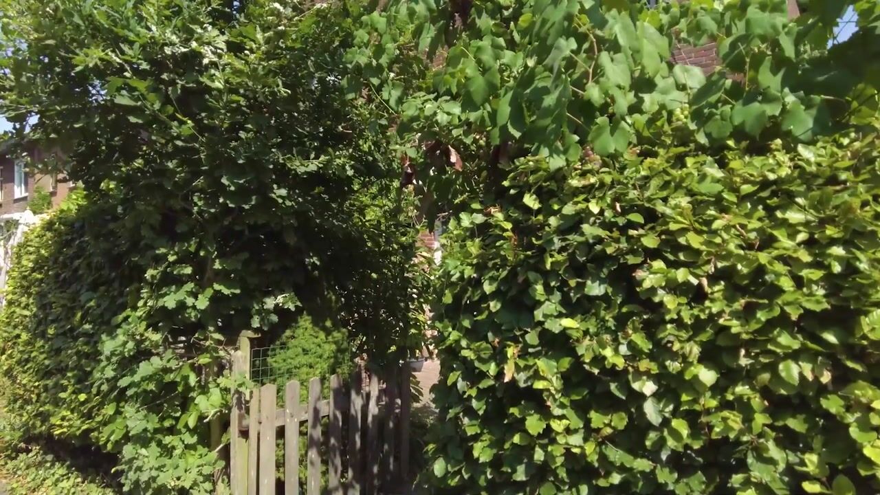Video of Oostboezemkade 1
