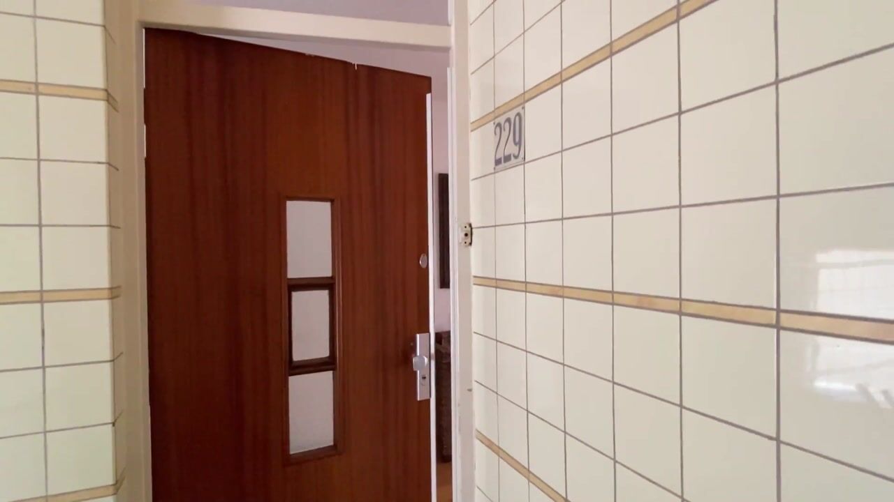 Video van Ary Schefferstraat 229