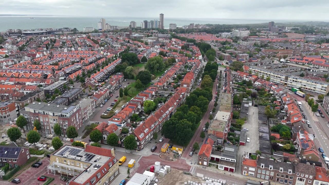 Video van Singel 332