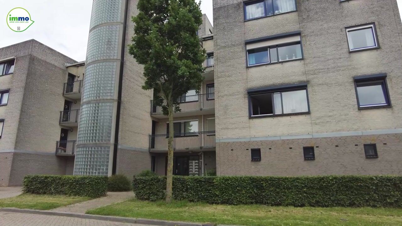 Video van Sterrekruid 61