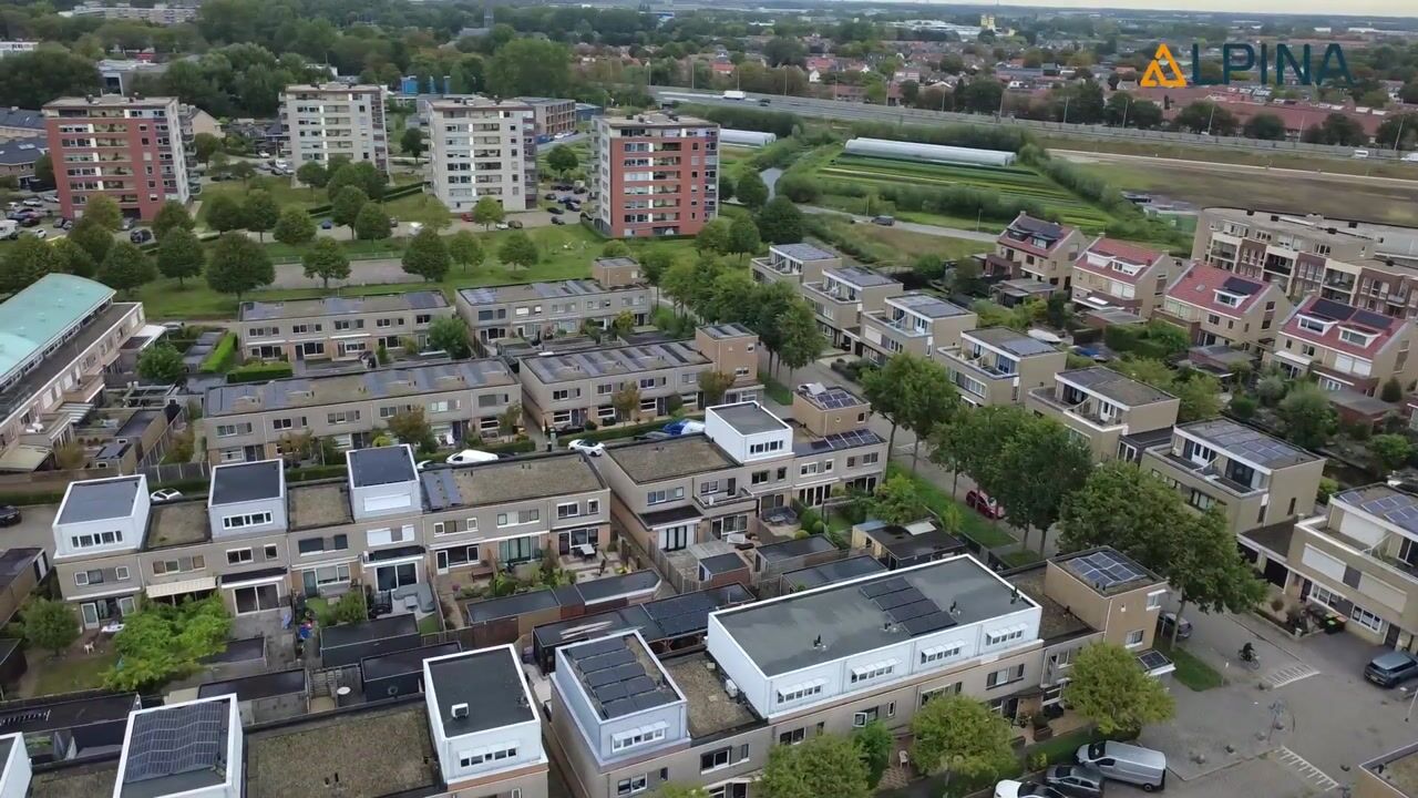 Video of Slangekruid 21