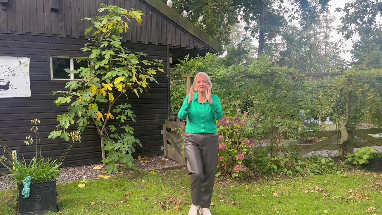 Video van Molenweg 59