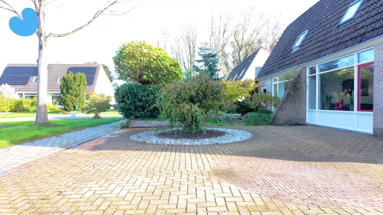 Video of Canterstins 26