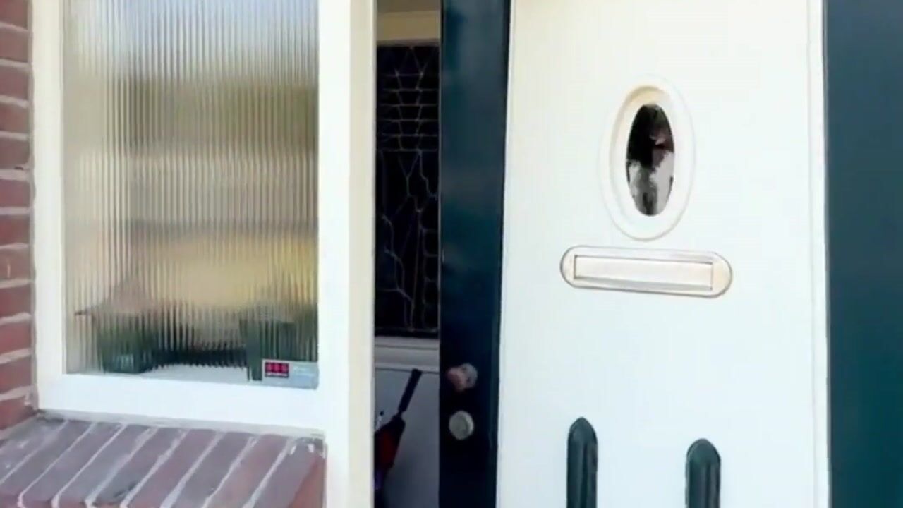Video van Meerweg 6