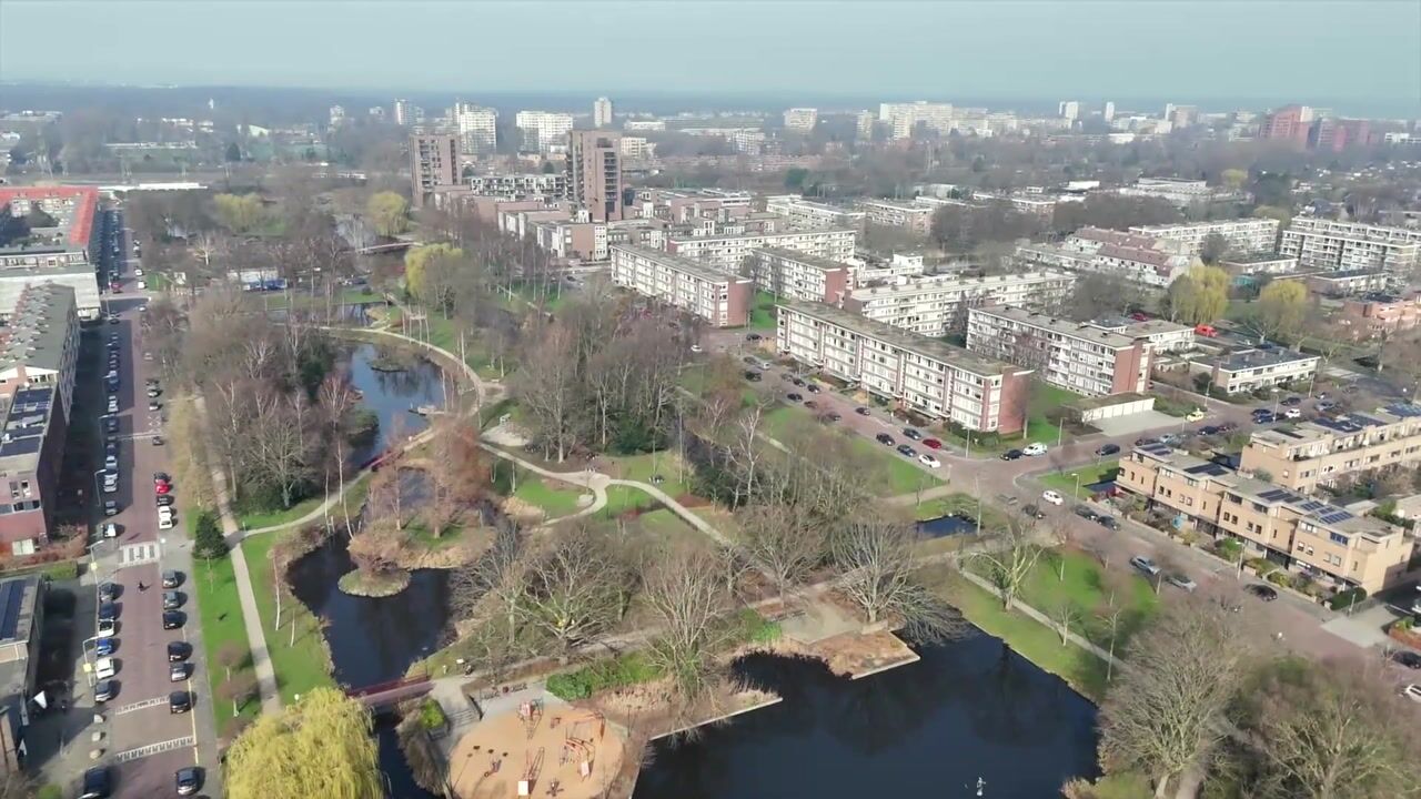 Video van van Royenstraat 19