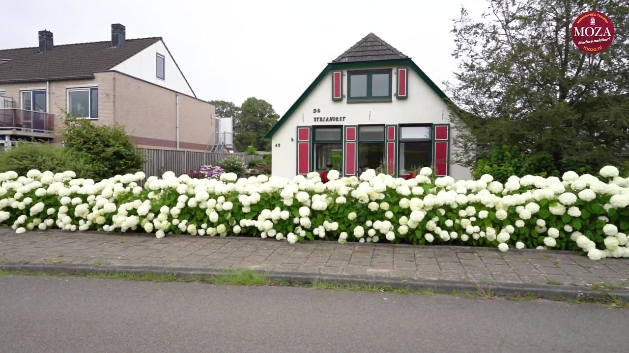 Video van Merelweg 42