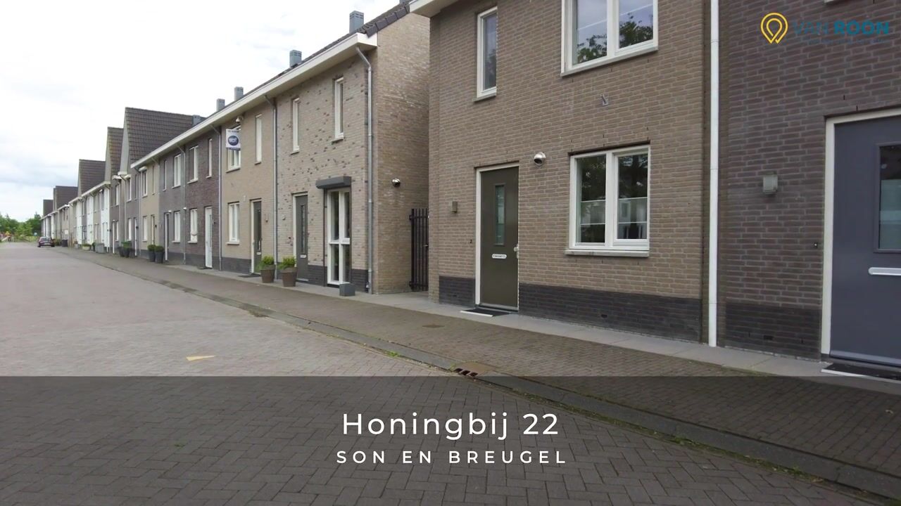 Video of Honingbij 22