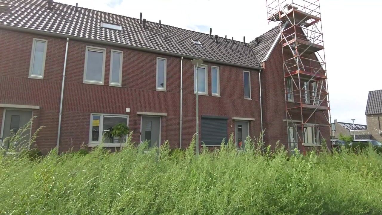 Video van Niellerveld 19