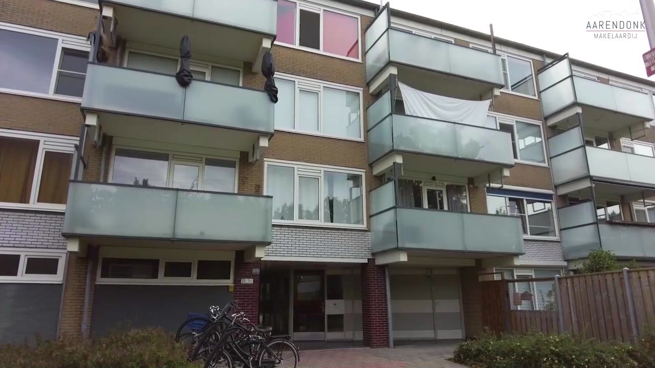Video of Stereoplein 29
