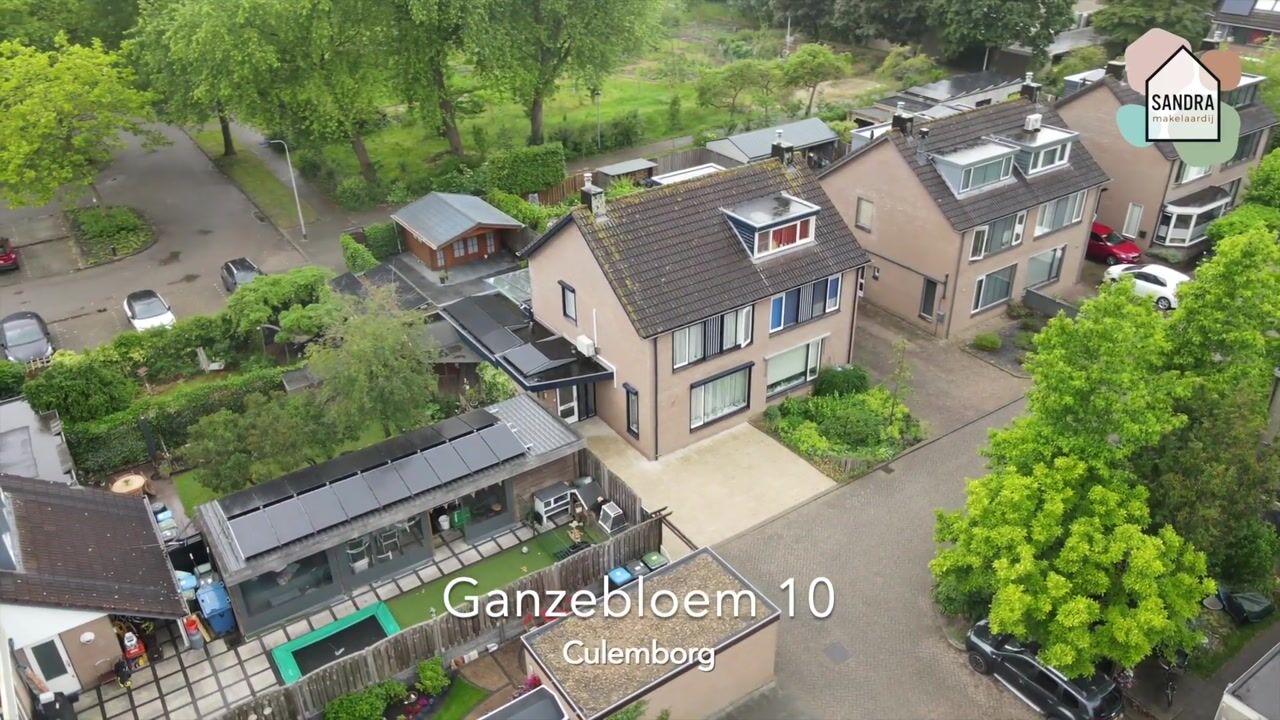 Video van Ganzebloem 10