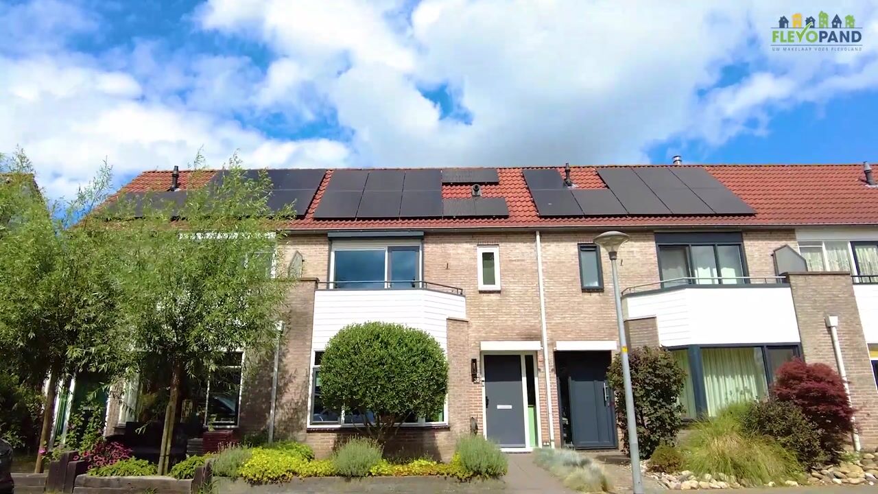 Video of Schokker 36