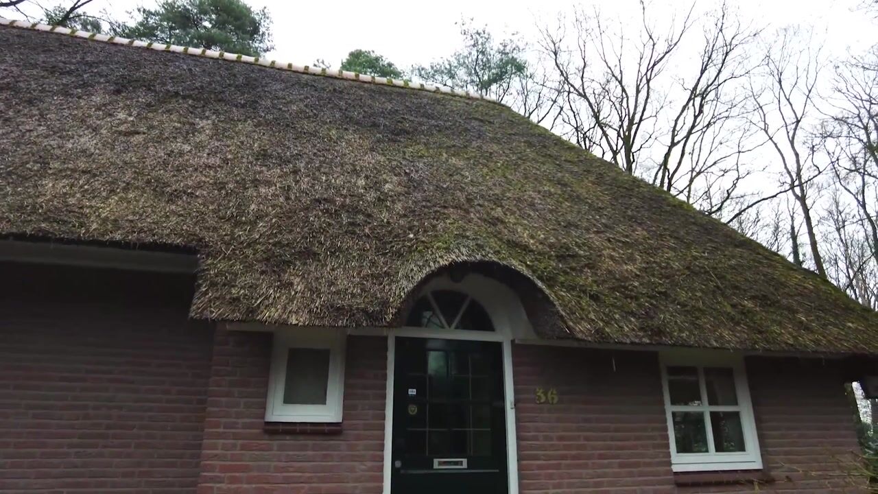 Video of Berghumerstraat 36