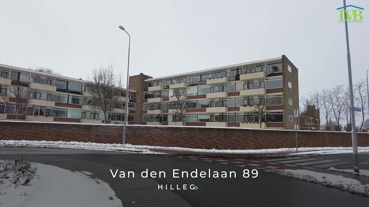 Video van Van den Endelaan 89