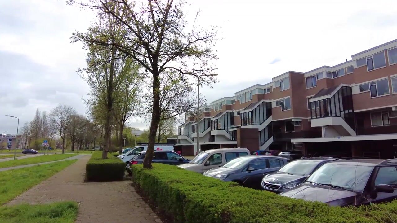 Video van Nijenheim 3148