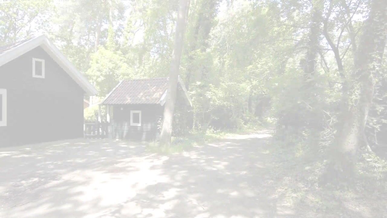 Video van Hambree 29