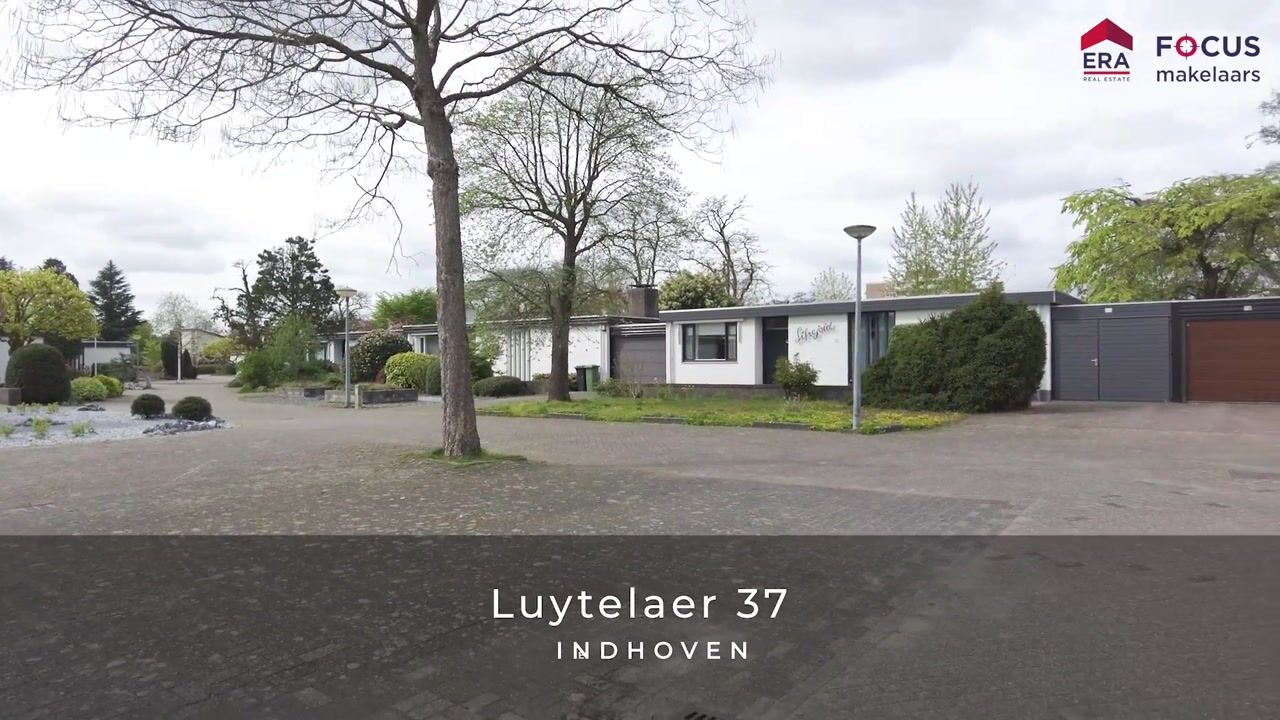 Video of Luytelaer 37