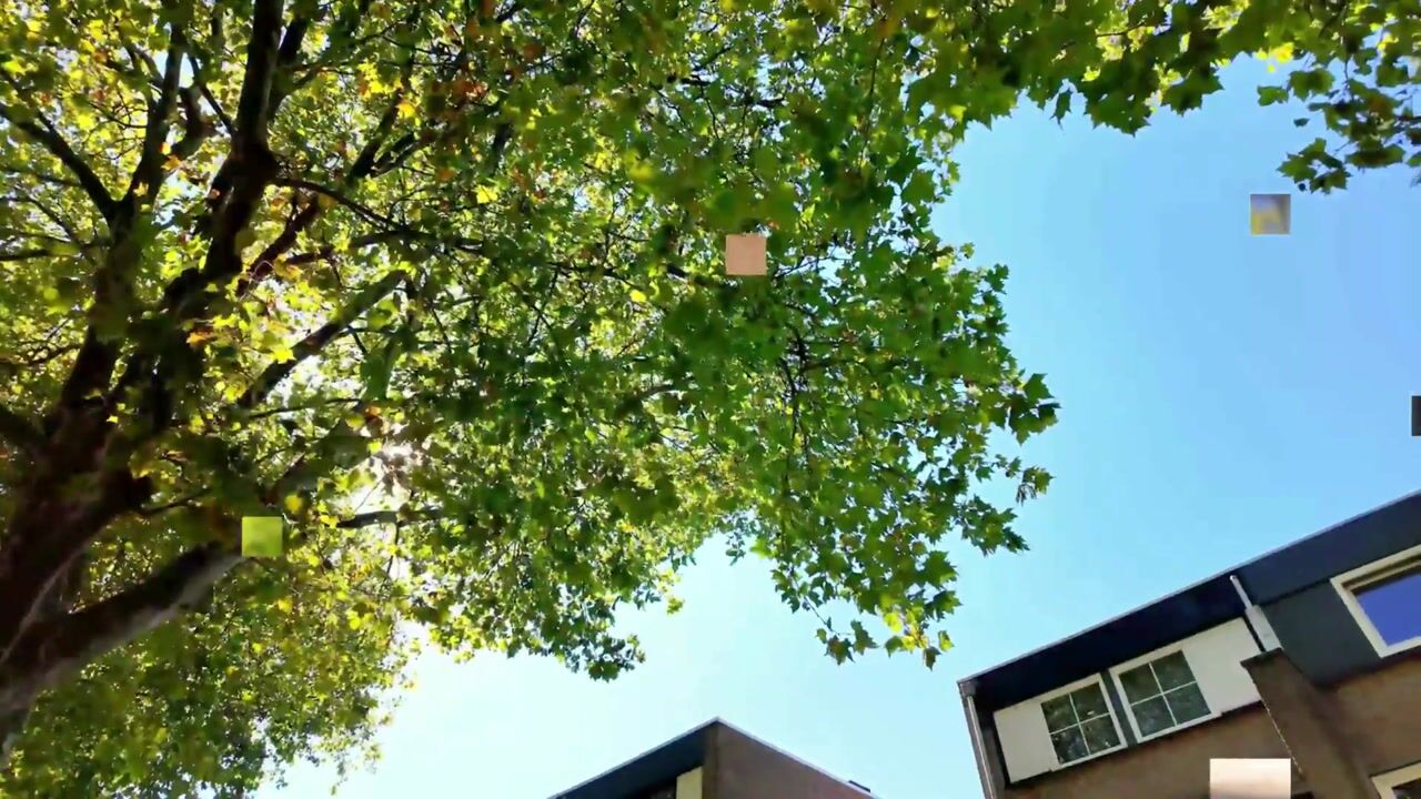 Video van Caumerboord 39