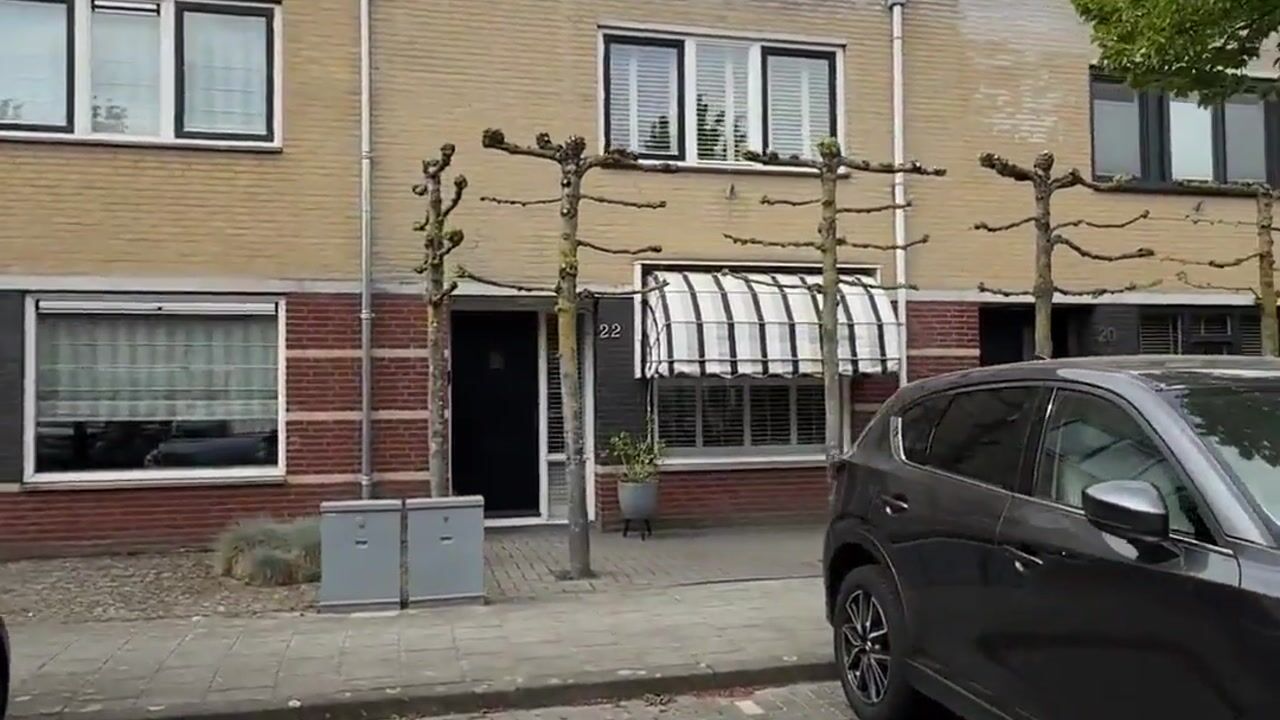 Video of Zilverschoon 22