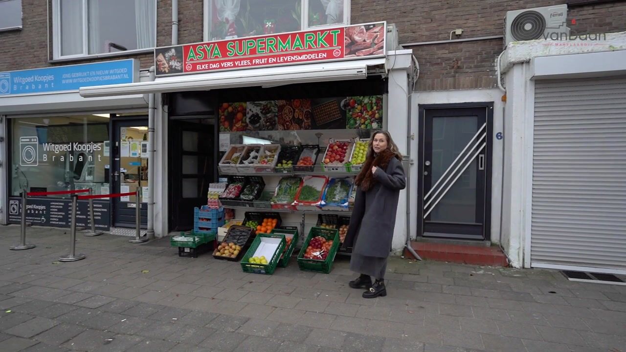 Video van Wilhelminalaan 10-A