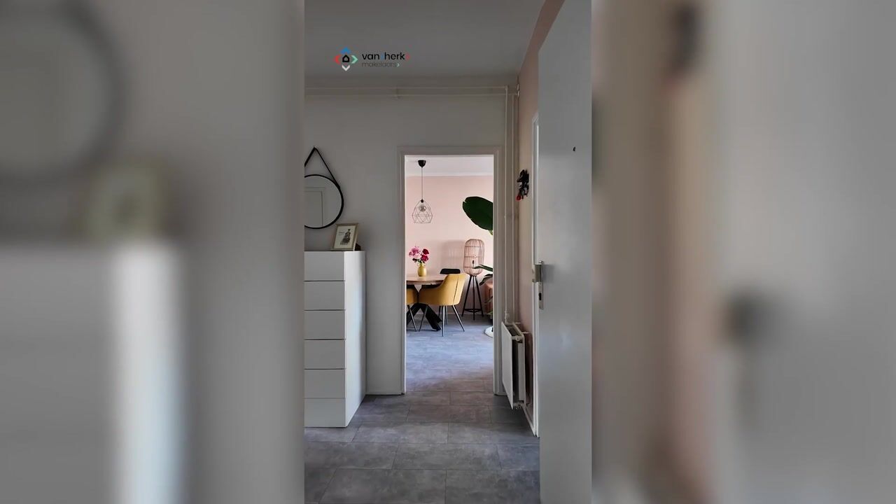 Video van Mr. Heemskerkstraat 14