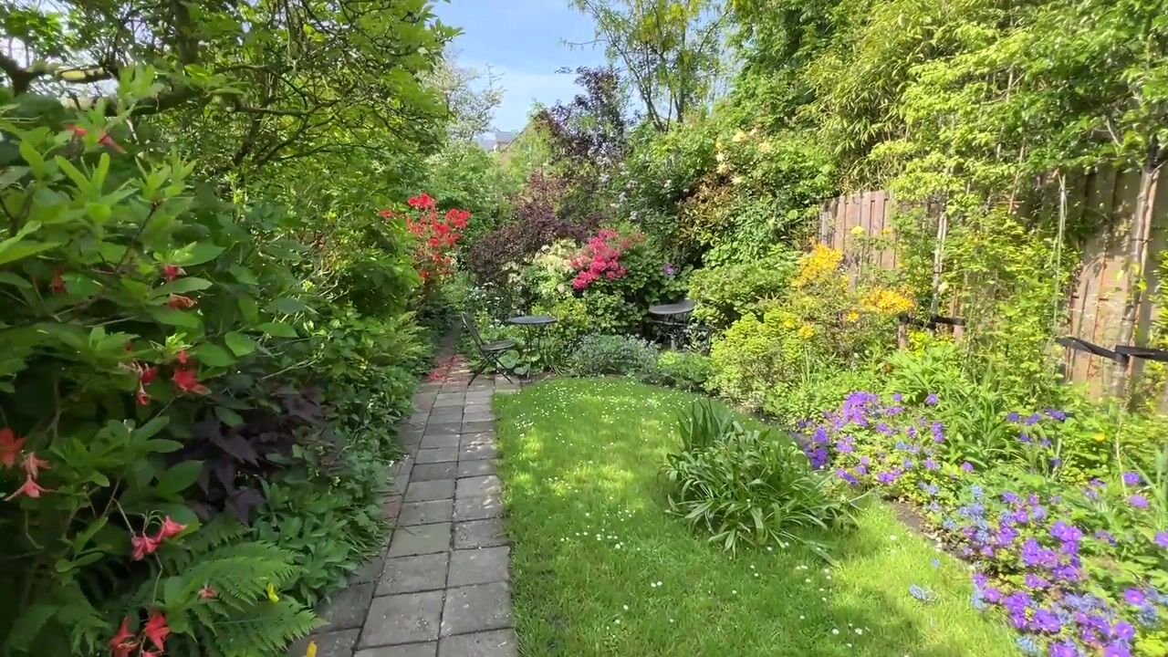 Video van Rijnsburgerweg 18