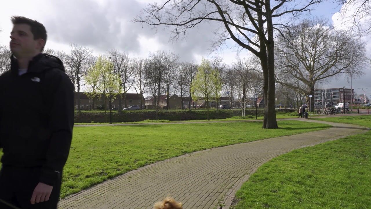 Video of Van Hoevestraat 15