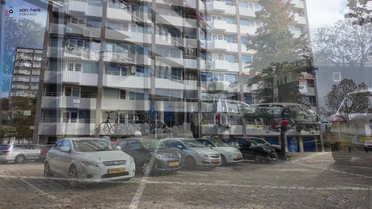 Video van Haverkamp 88