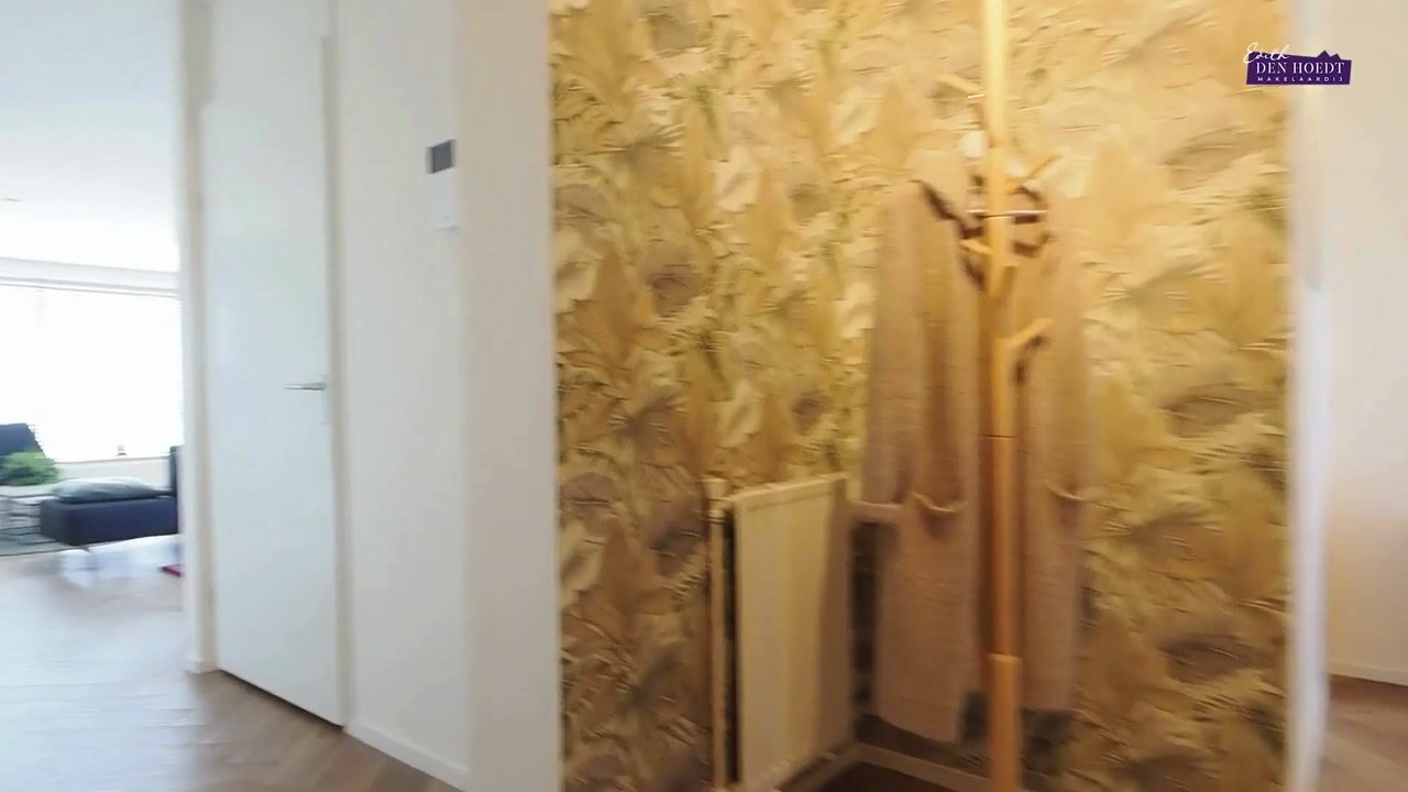 Video van Vondellaan 53