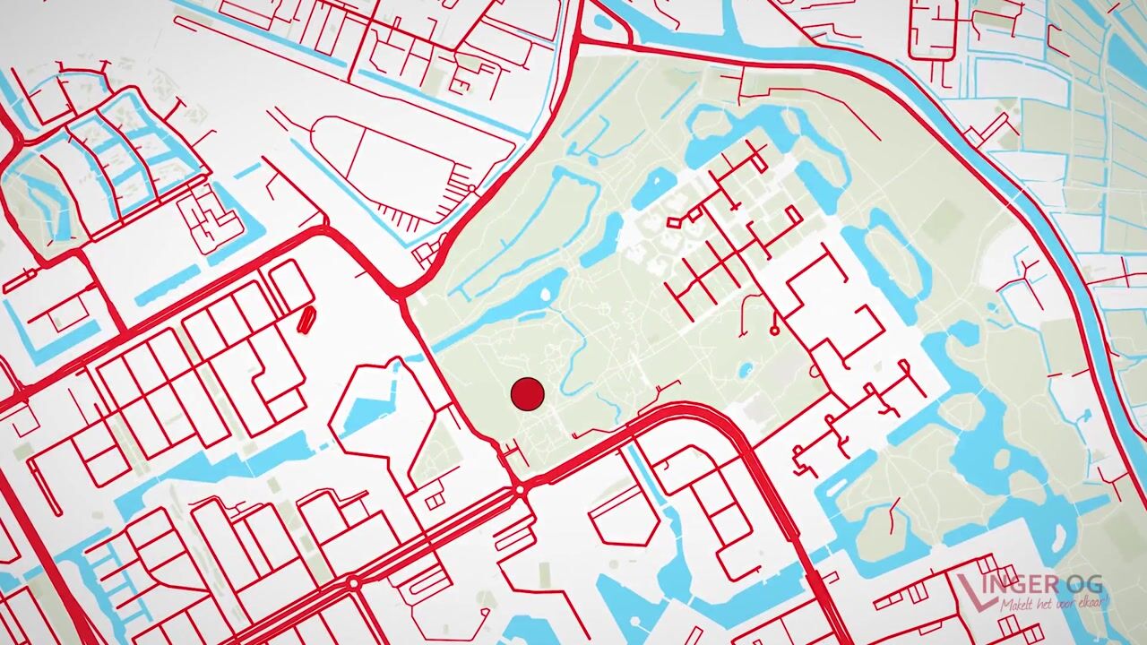 Video van Gouden Leeuw 308