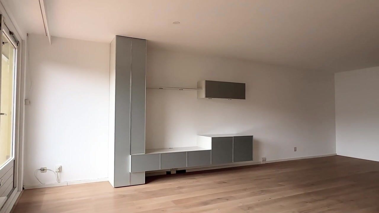 Video of Jan Dirk z'n Dal 49