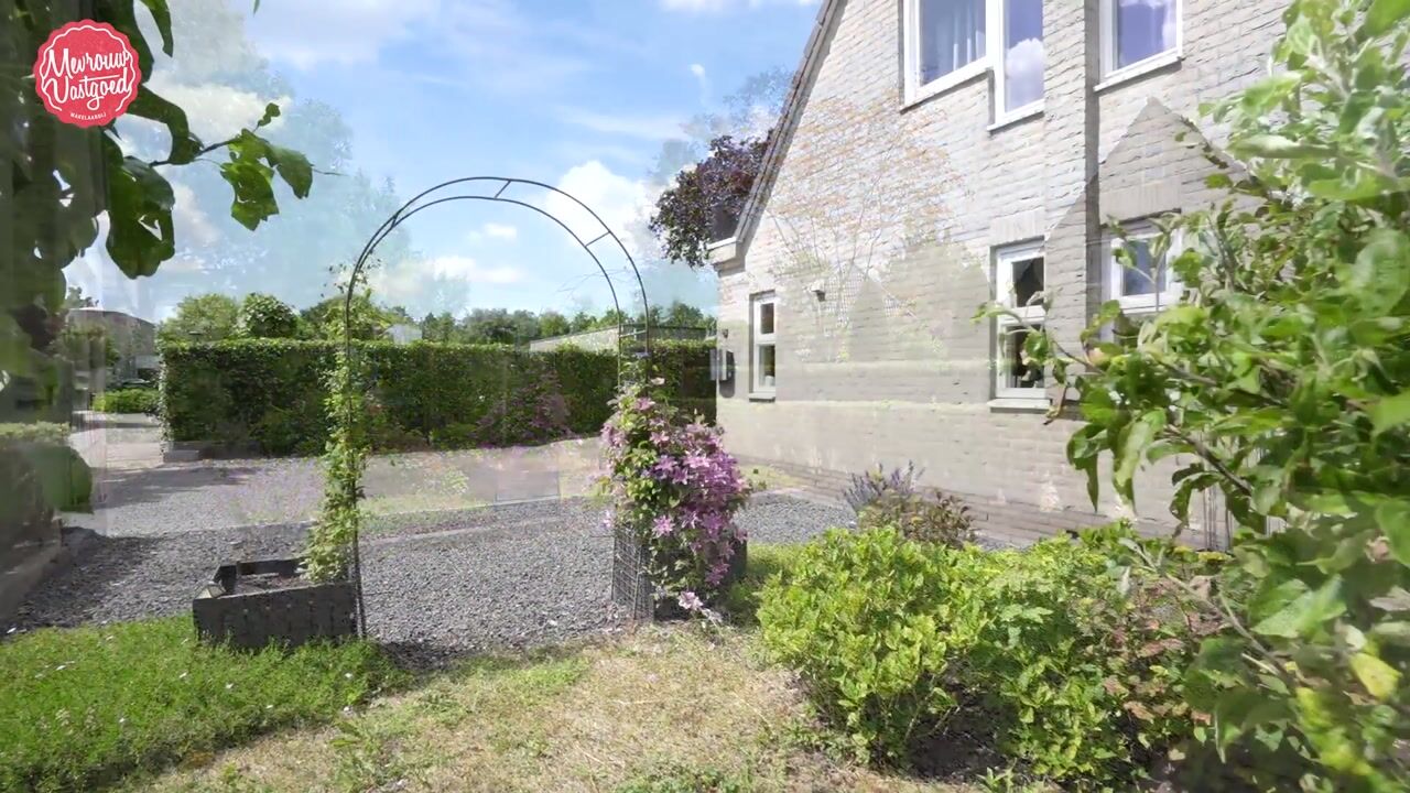 Video van Zomer 62