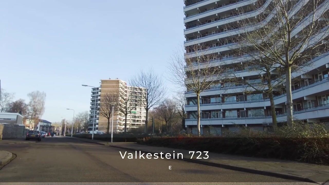 Video van Valkestein 723