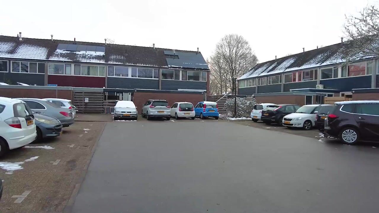 Video van Houtsnijdershorst 419