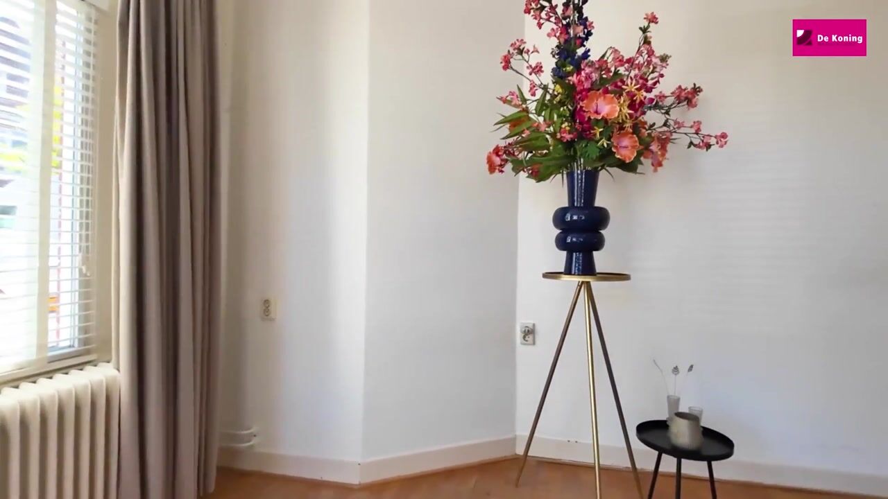 Video of Lodewijk Napoleonlaan 32