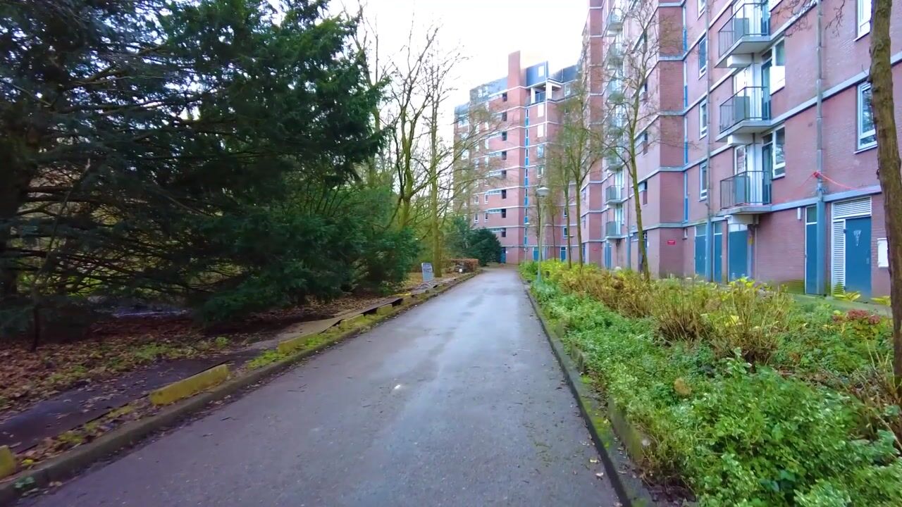 Video van Leksmondhof 361