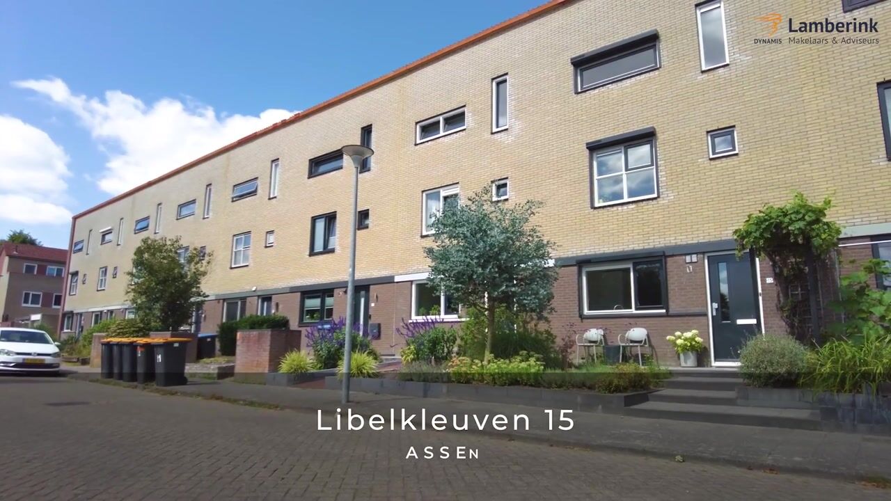 Video van Libelkleuven 15