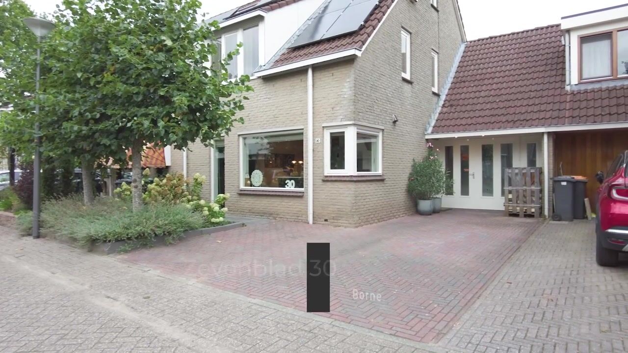 Video of Zevenblad 30