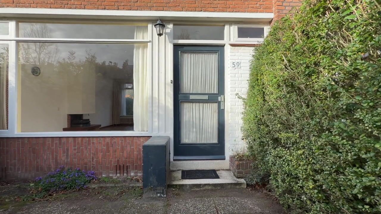 Video of Strausslaan 59