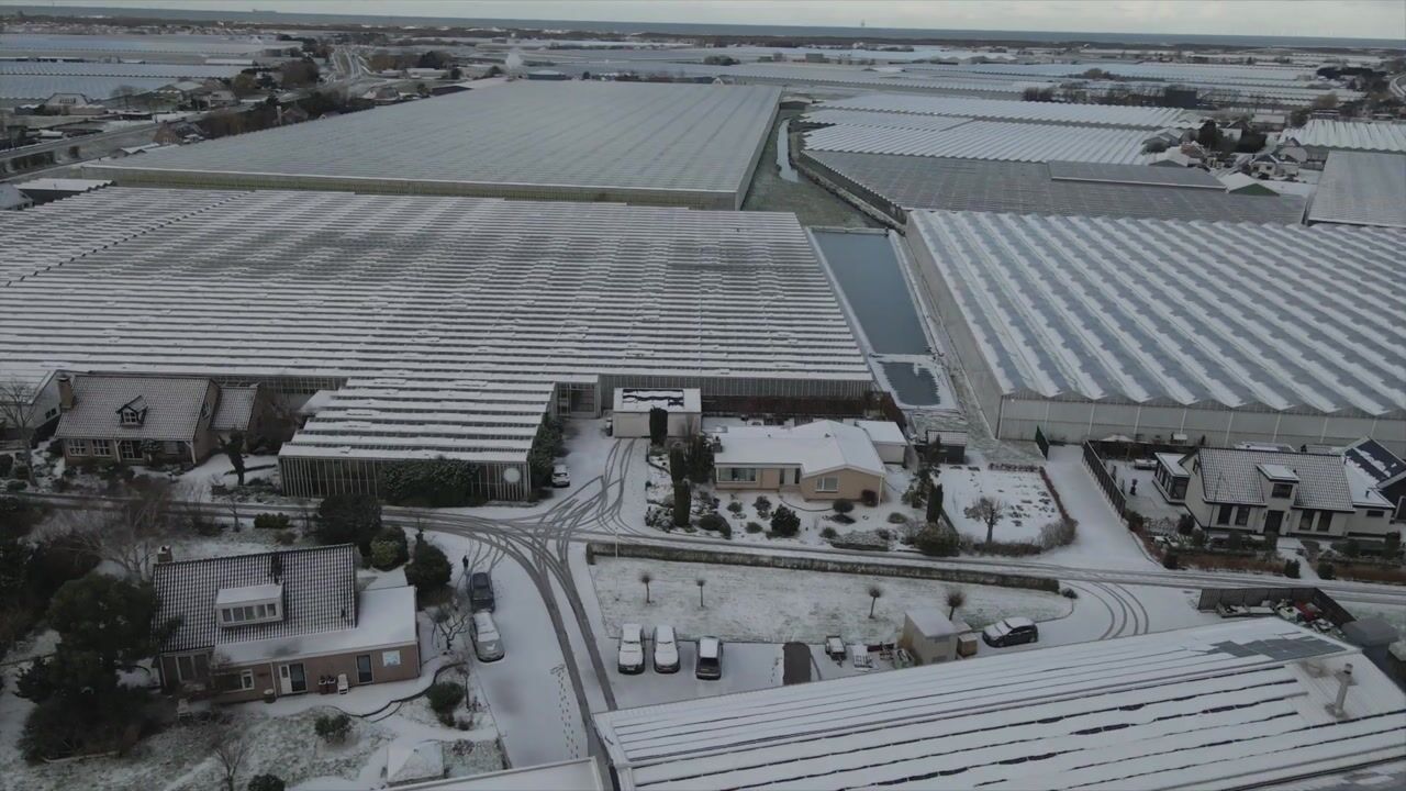 Video van Alsemgeestlaan 7