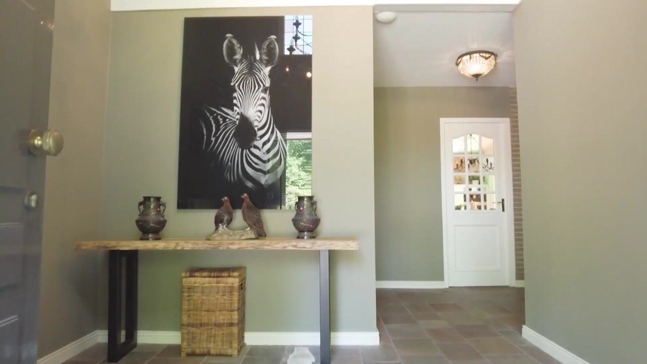 Video van Molenstraat 20