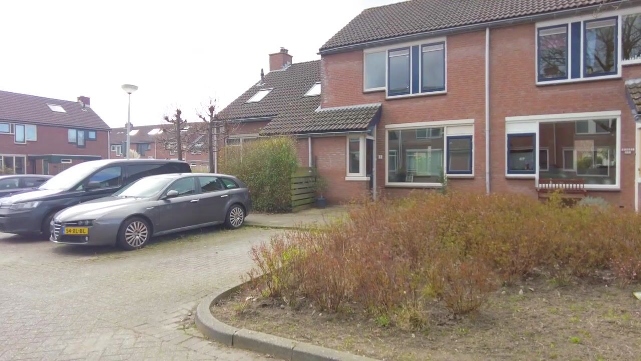 Video van Snoek 3