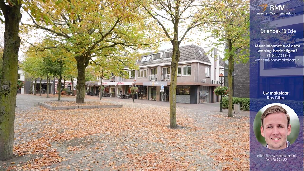 Video of Driehoek 1-D