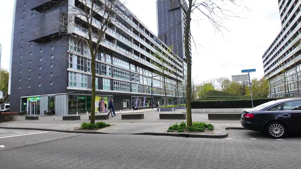 Video of Professor de Moorplein 460