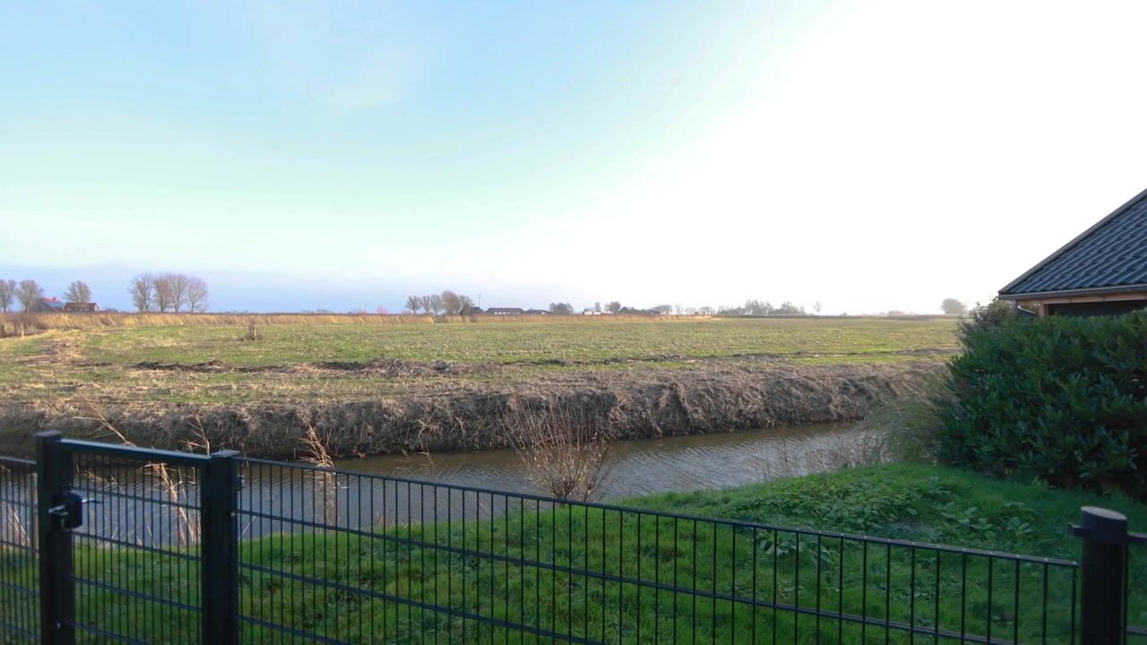 Video van It Ferset 37