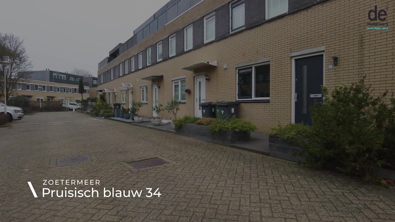 Video of Pruisisch blauw 34