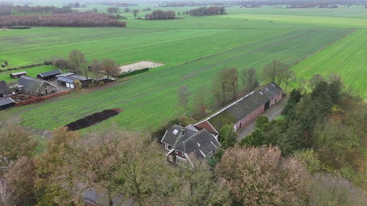 Bekijk video van de Haar 11