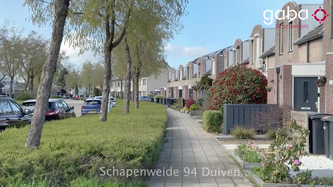 Video of Schapenweide 94