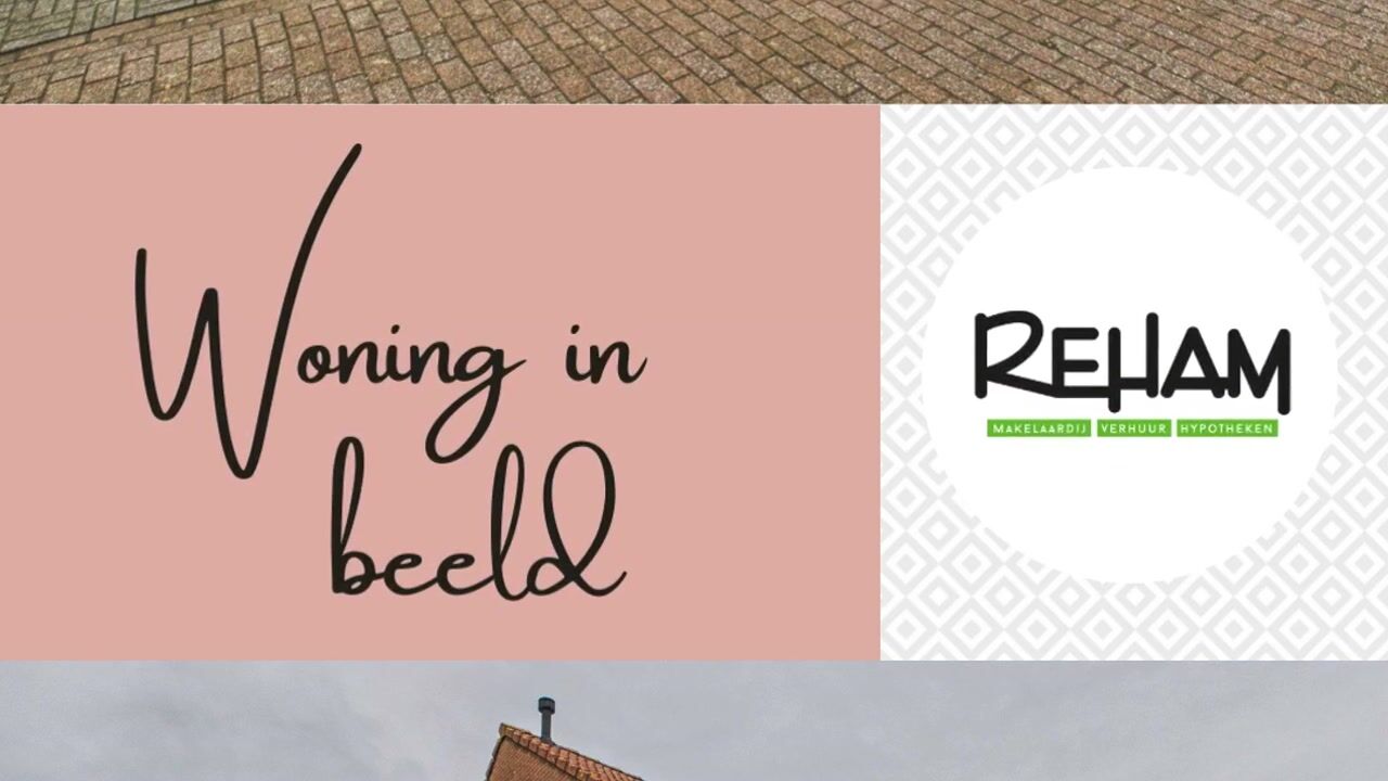 Video of Schreyboom 22