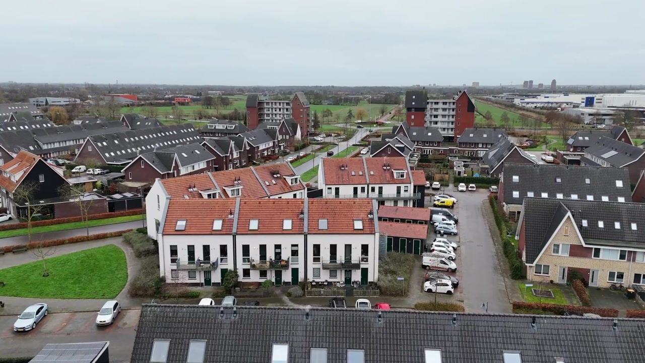 Video van Citroenvlinder 10